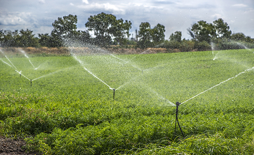 Wire Harness and Cable Assemblies in Agricultural Industry