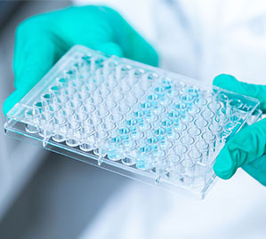 PCR-Platten werden häufig verwendet