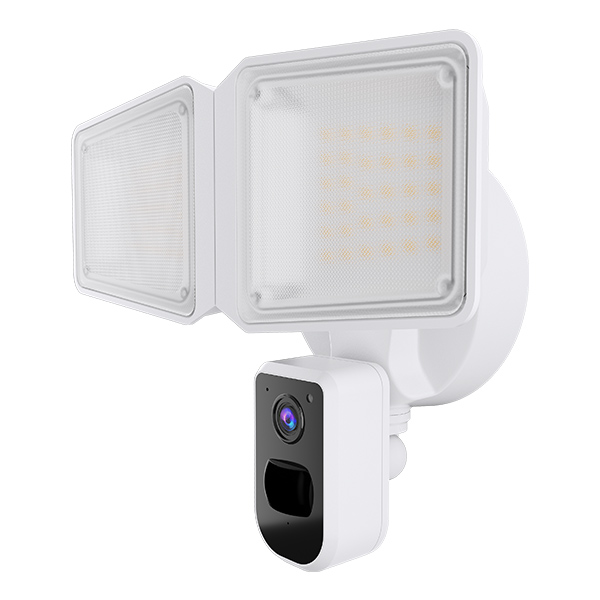 Camera Motion Security Lights SEC101P