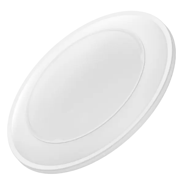 DISC Downlight DL205Y with Night Light series