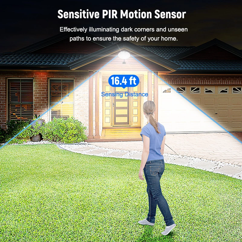 Sensitive PlR Motion Sensor