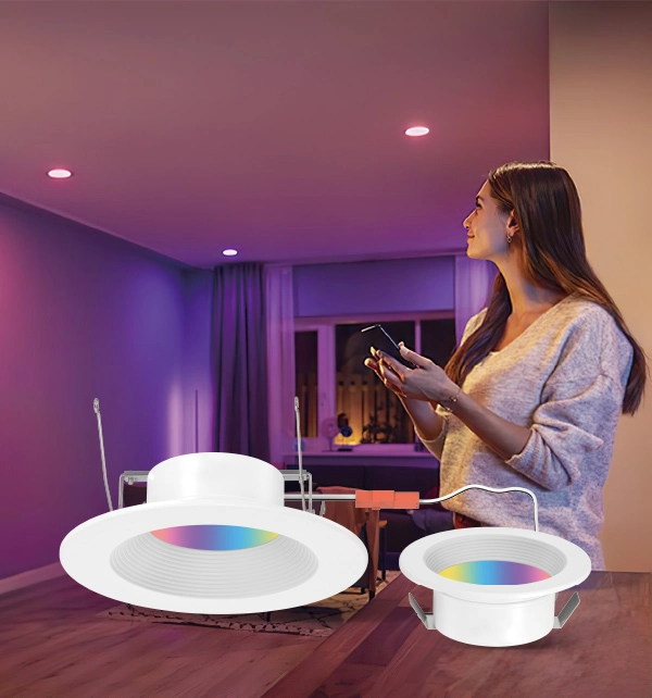 Smart Retrofit Downlight DL212BR Series