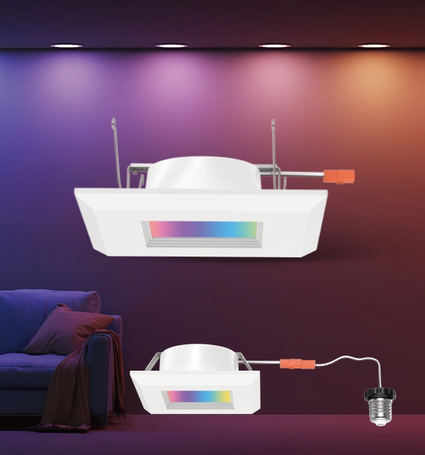 Smart Retrofit Downlight DL213BR Series