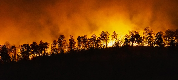 Wildfire Detection System Solution